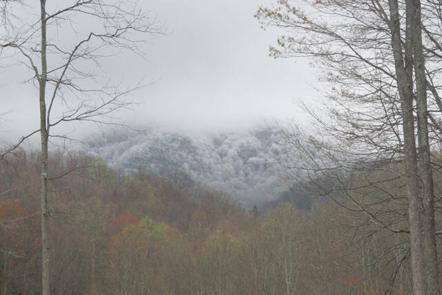 Ripshin Mountain April 15